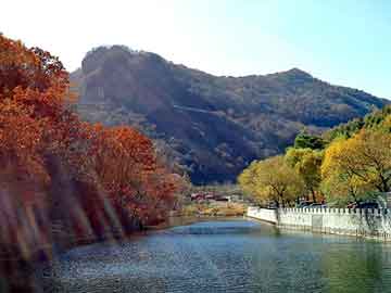 奥门天天开奖免费资料，塔防建材